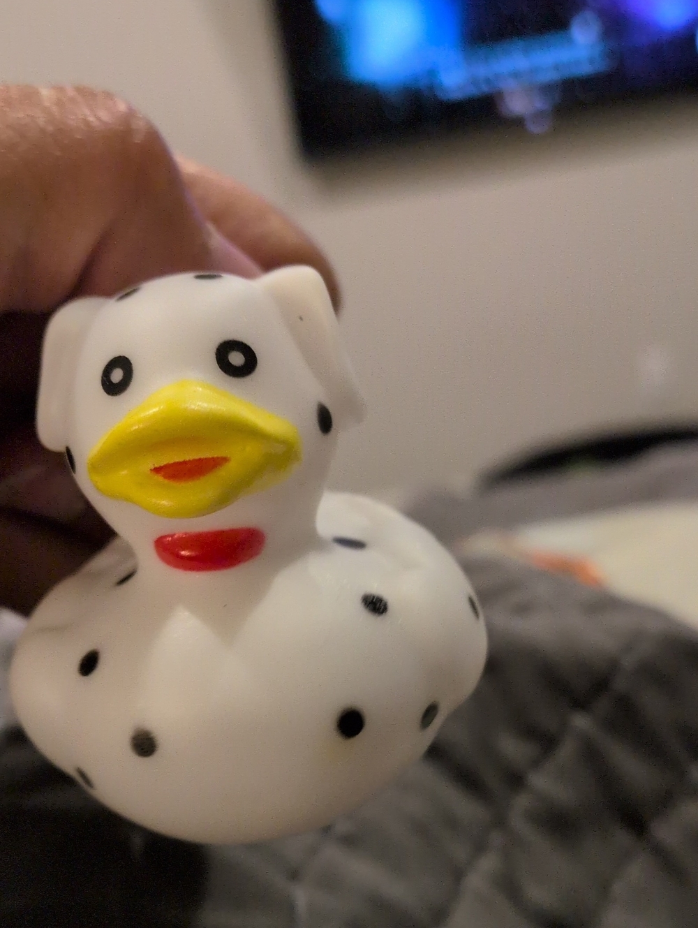 Rubber Duck Dalmatian Dog Duck